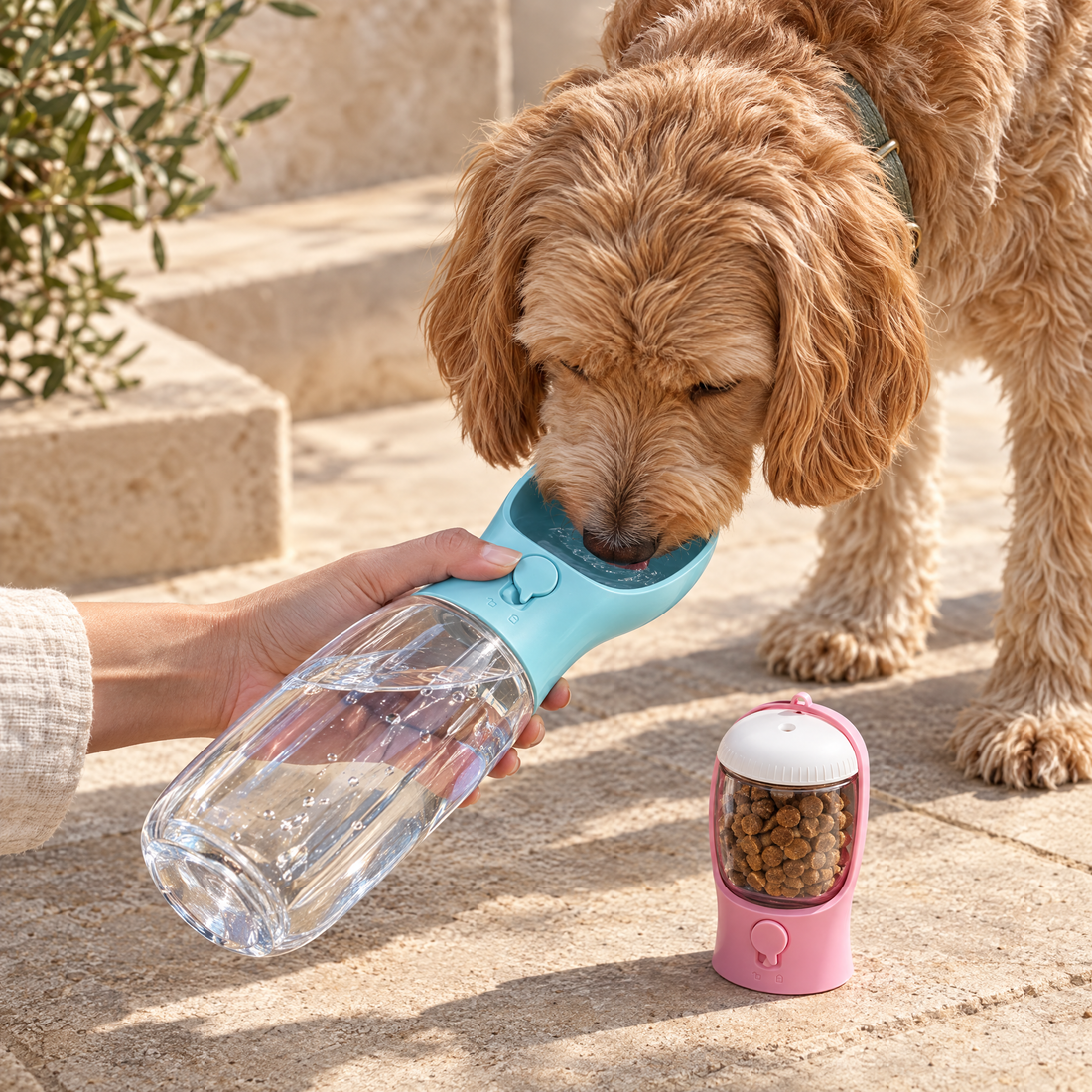 Dog drinking from Ars Walk AquaGo bottle with food pod removed