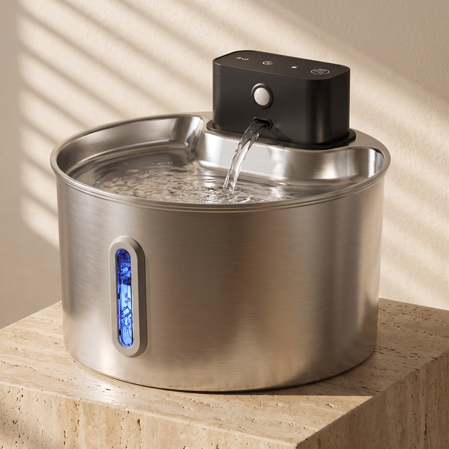 Close view of the Petite Fountain spout, sensor and water-level window